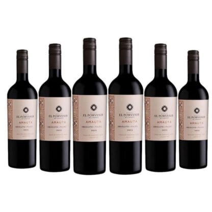 Caja Vino El Porvenir Amauta Absoluto Malbec. 750cc X 6 Unidades